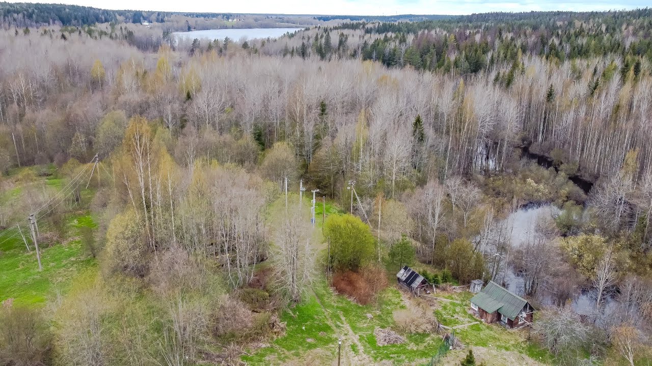 10941050, п. Зелёный Холм, земельный участок - YouTube