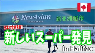 【カナダライフ🇨🇦】New Asian Food Market に行ってきました🛒 日本の食材がたっくさん😳〔#55〕カナダ｜ハリファックス｜日本の食材