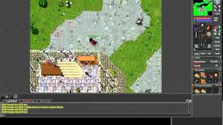 Tibia Hunting And Trolling Botter