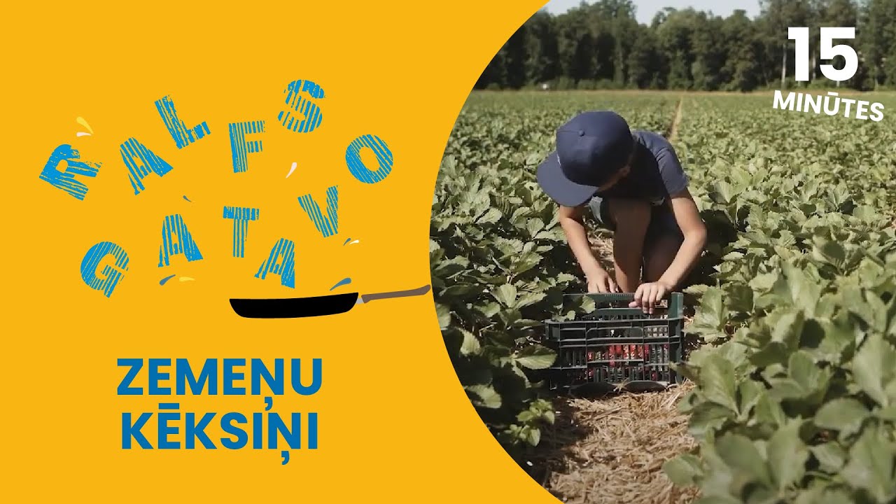 RALFS GATAVO | Zemeņu kēksiņi | 4. sezona 2. sērija