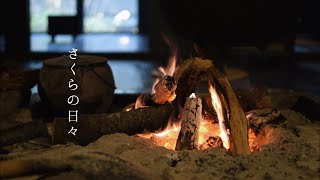 [暮らしvlog]東京での記録/ツナサンド作り/金柑の甘露煮/日本民家園/紅葉と秋の終わり[日本人]ASMR