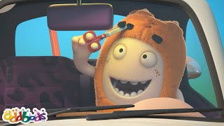 Брови | Чуддики | Смешные Мультики Для Детей Oddbods