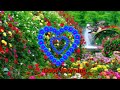 Good morning video song aise Gulshan to baharon mein khila karte hai Amar Bahadur Patel song Mp3 Song