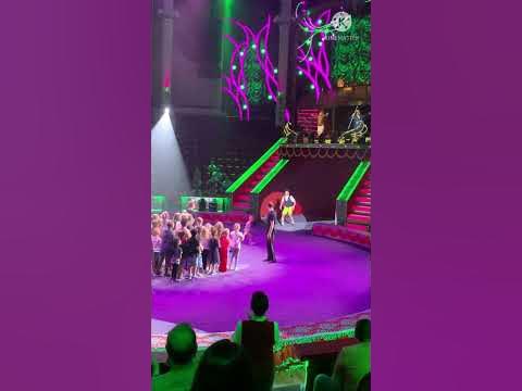 Moscow circus /Московский цирк на Цветном бульваре -#shorts - YouTube