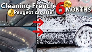 Cleaning a Car Bought At An Auction | There Was a Lot of Dirt #thedetailgeek  #asmr #carcleaning