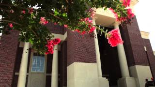 The Library - Ole Miss