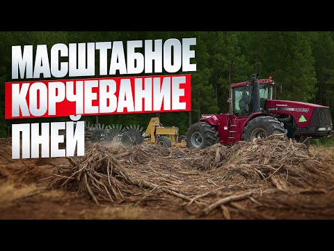 Масштабное корчевание пней. Роторные вращающиеся грабли. Расчистка с оборудованием SAVANNAH