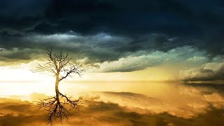 AShamaluevMusic - Beauty - (Beautiful Cinematic Background Inspirational Orchestral  Music)