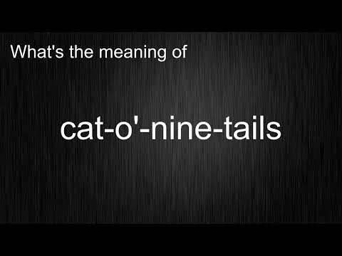 Video: Hva betyr katt med ni haler?