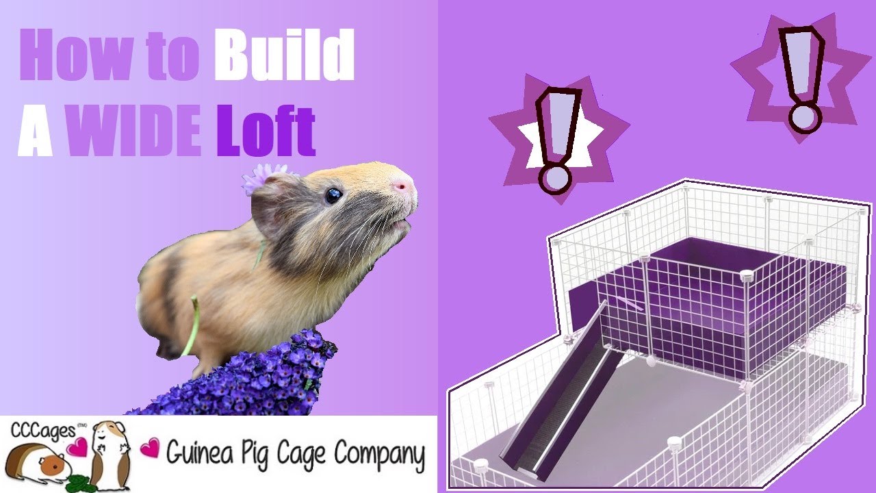Building a Wide Loft for Your C&C Cage | Easy DIY Assembly Tutorial