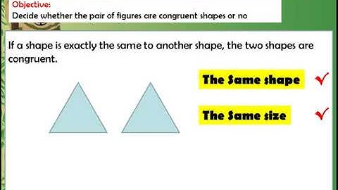 Year 2 Math    Unit 19   Congruent Shapes Lesson 3 Week 12