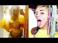 Miley Cyrus Bangerz Tour NEW OUTFITS!