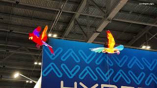 Stop Crowds In Their Tracks With Hypervsns Holographic Birds In Flight