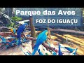 UM SANTUÁRIO CHAMADO PARQUE DAS AVEZ - VLOG EM FOZ DO IGUAÇU