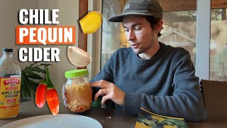 How to Make Immunity Boosting Fire Cider with Chili Piquín 🔥