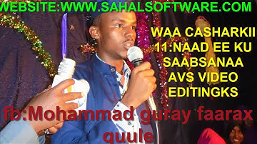 Lesson 11 Placing Imported Media Files To the Storybo - AVS Video Editor - Sahalsoftware - Afsomali