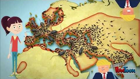 Mediterranean Trade Route!