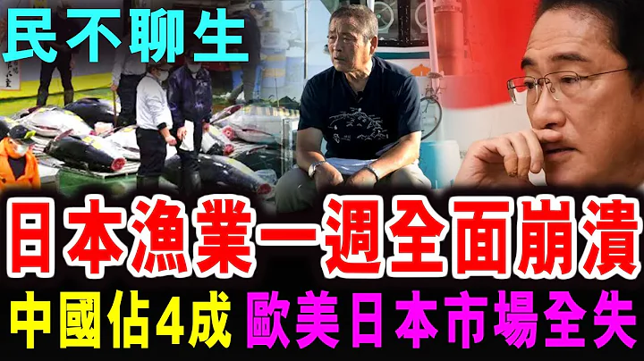 民不聊生   日本渔业一周全面崩溃   中国占4成 欧美日本市场全失【家国天下】郭政彤 santino - 天天要闻