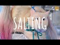 Salting remix cute - DJ Topeng // Dusk x Dangling  Lyrics Tik Tok Song