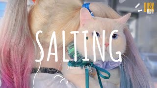 Salting (remix cute) - DJ Topeng // Dusk Music x Dangling  (Video Lyrics) Tik Tok Song chords