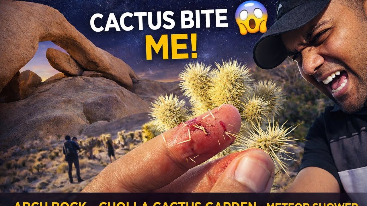 கள்ளி குத்து |Joshua Tree National Park, CA