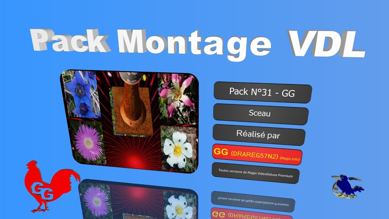 Pack N°31-GG - Sceau top movies on netflix