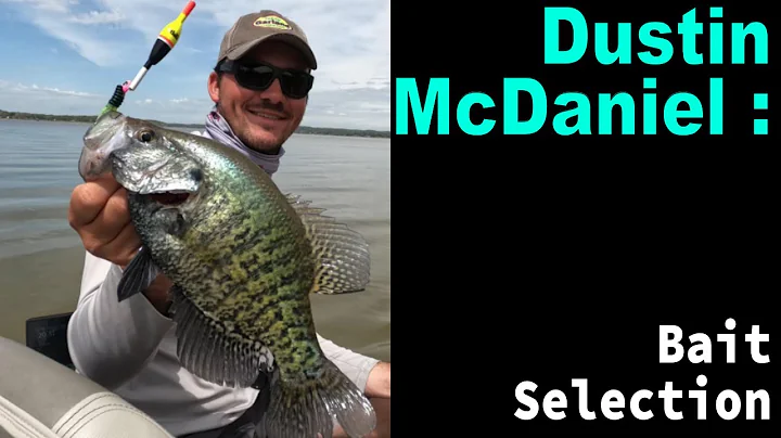 How to Select the Right Bait to Catch Crappie