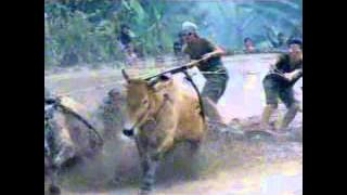 Download lagu RCTI Djarum Super 00 17