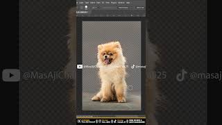 CARA SELEKSI & GANTI BACKGROUND - TUTORIAL PHOTOSHOP