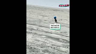 Frenchie Has Impressive Balance Skills With A Ball