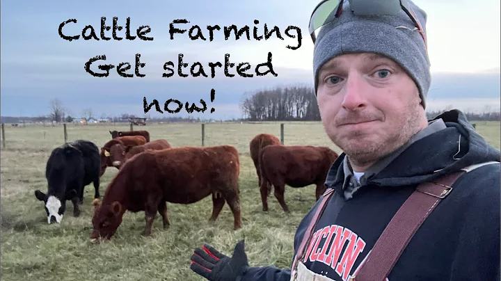 Start Raising Cattle, the basic info needed to get your first cow!