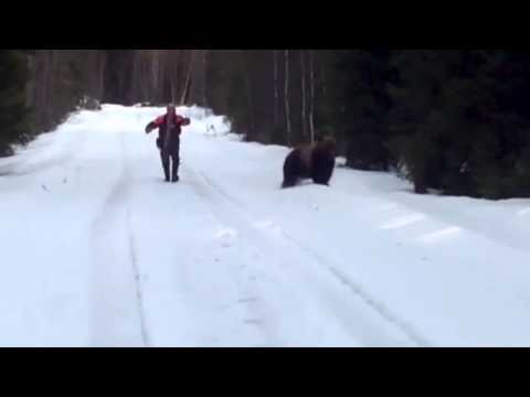 Man scares living crap out of bear