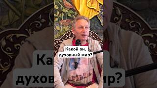 Какой Он, Духовный Мир? #Василийтушкин #Враджендракумар #Vrajendraru #Shorts #Веды #Знание #Бог #Рай