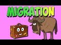 Migration Quiz