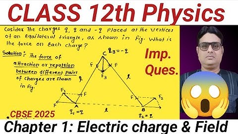 Important Numerical CHapter 1 Physics Class 12 | Electric charge & Field Important Questin/Numerical