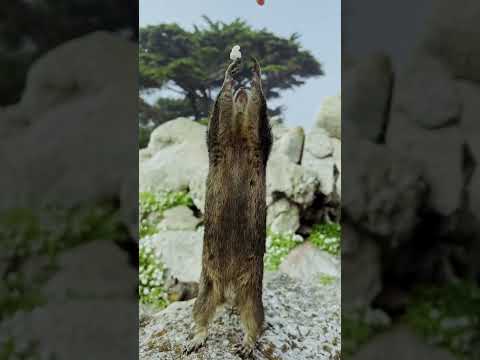 Здесь живут самые богатые американцы. Одно из самых красивых мест в США