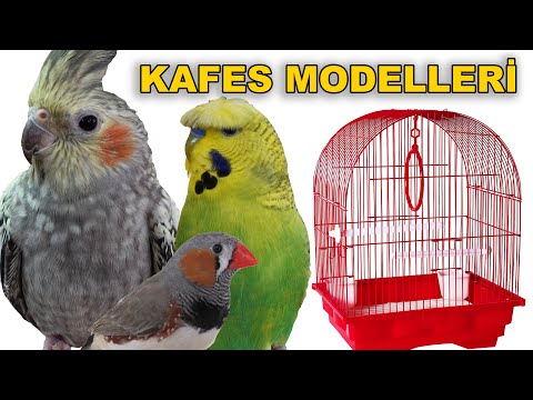 Kuş Kafesi Modelleri Fiyatları