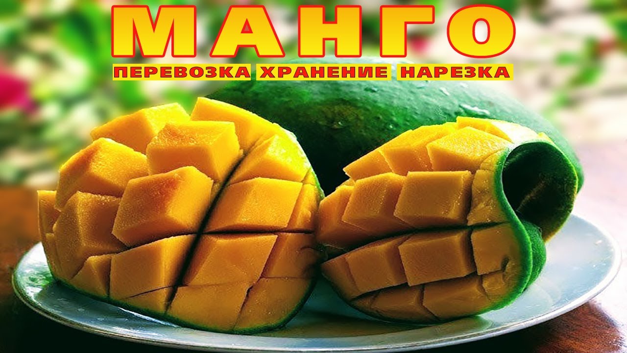 Манго Египет Купить В Москве