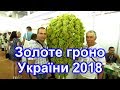 Золоте гроно України 2018