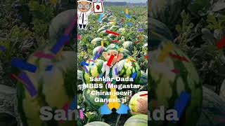 Sankar Dada Mbbs Megastar Chiranjeevi Ganesh Ji