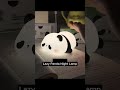 Product Link In Bio 309 Lazy Panda Touch Sensor Night Lamp 