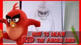 How to Draw RED from Sony Pictures' ANGRY BIRDS - @dramaticparrot