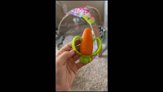 Lil' Nibbles Textured Silicone Baby Teether