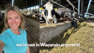 This Isn't Wisconsin!! | Florida Dairy Farm Tour by New Age Custom Farming 16,520 views 3 weeks ago 12 minutes, 50 seconds