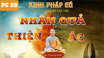 Nhân Quả Thiện Ác. Kinh Pháp Cú. Phẩm Tự Ngã. Kệ 162-166. SC. Giác Lệ Hiếu
