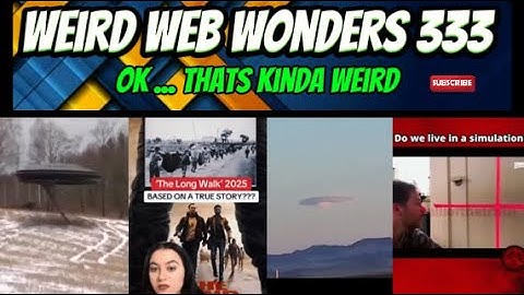 weird web wonders 333