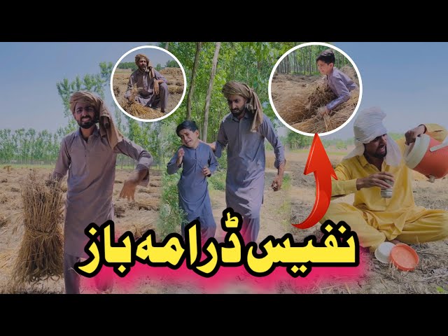 Nafees DarmaBaz Pashto Funny | Afaq Aw Nafees 2024 class=