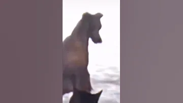 اوعي تسبيني انا بنبهك 
