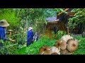 Fortes pluies dans le village aprs la chasse aux champignons sauvages  vivre au village