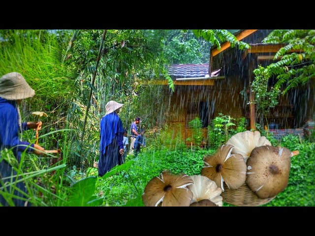 Hujan Deras di Kampung Setelah Berburu Jamur liar | Hidup di Desa class=